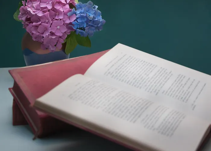 Casa Della Musica Couette-café